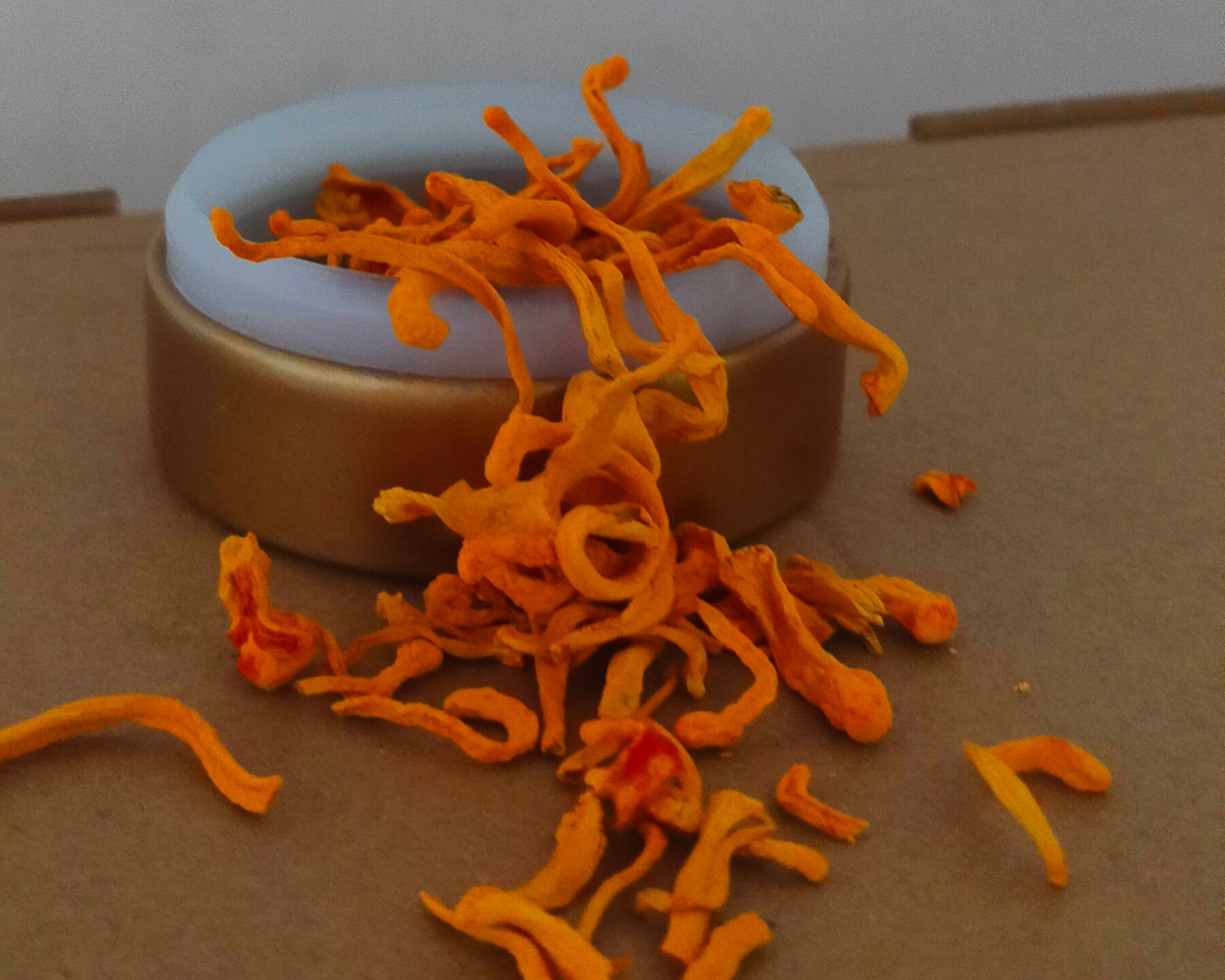 Cordyceps कब लेना चाहिए? Morning vs Night Routine Guide